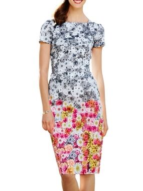 Talbots floral ombré cotton short sleeve shift dress size 8 excellent condition